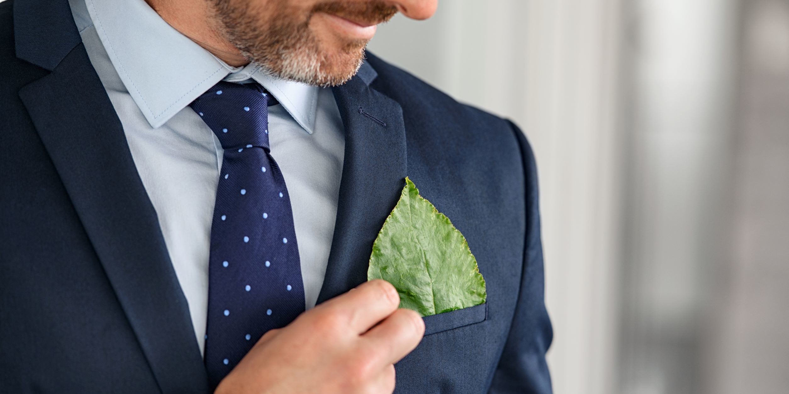 business-man-keeping-green-leaf-in-pocket-2022-08-15-18-26-41 KALEA Formation finance durable